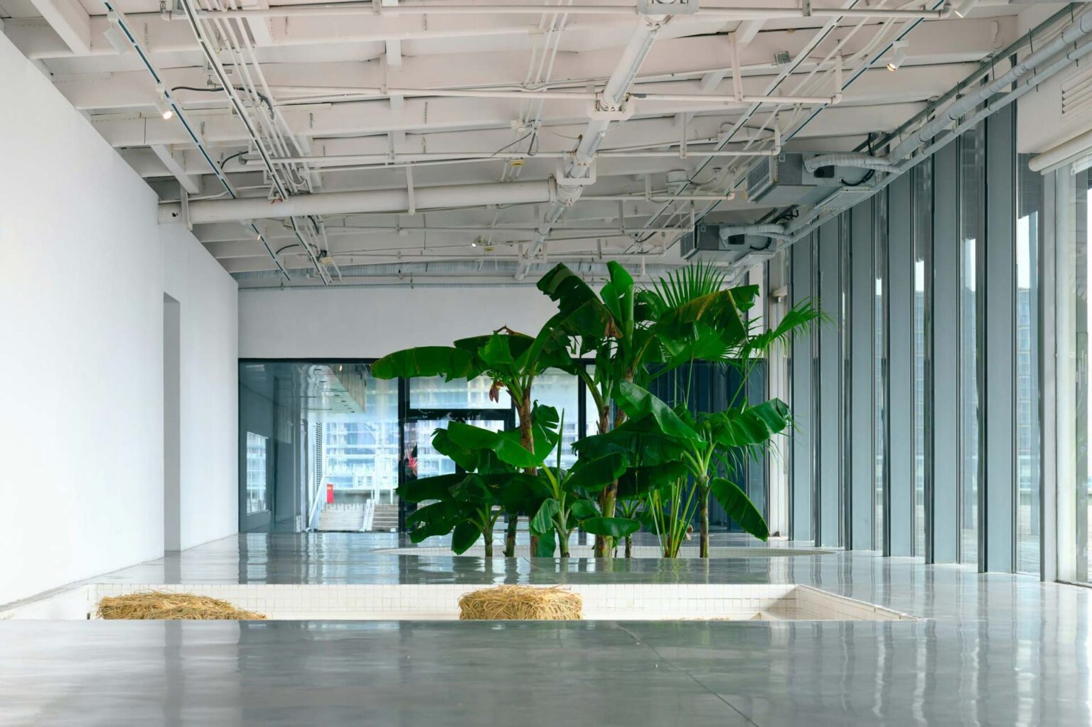 planter